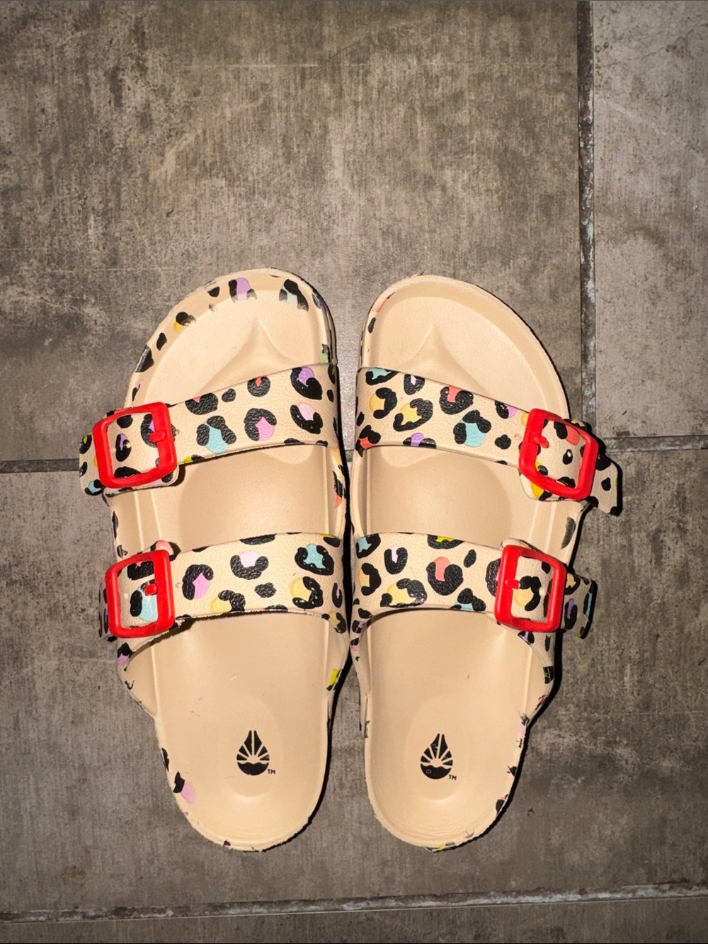 Leopard Print Double-Buckle Slide Sandals with Red Buckles